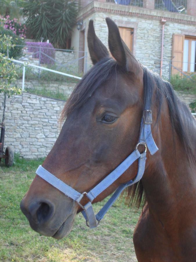 Borgo Maisale Librizzi Εξωτερικό φωτογραφία